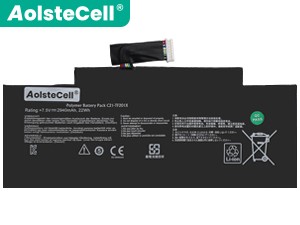 Asus Li-Polymer battery pack TF300TL
